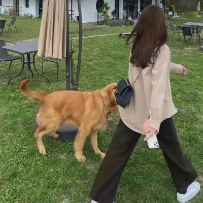还我深爱